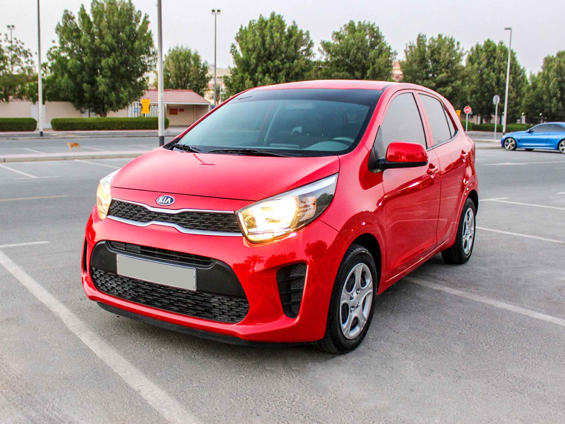 Five Things that Make Your Car Rental a Cheaper One