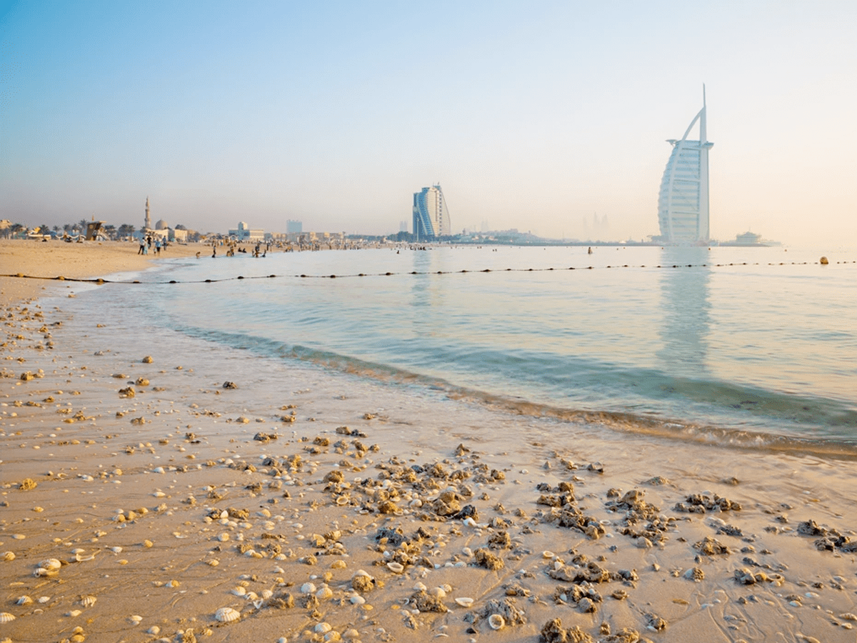 Catch of the Day Best 5 Fishing Spots in Dubai's Coastal Waters