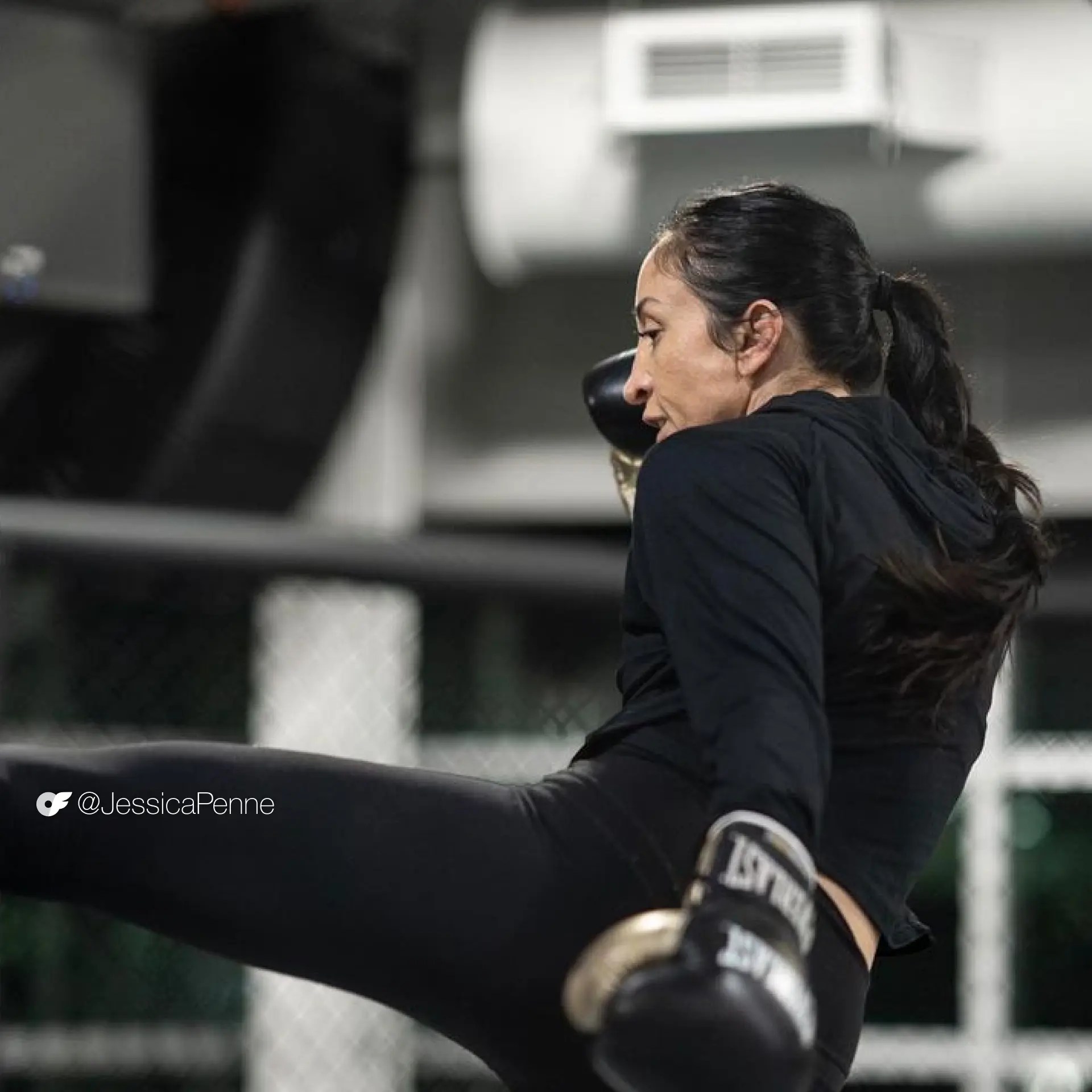 Fight Night UFC 285 (Jones, Penne) OnlyFans Blog