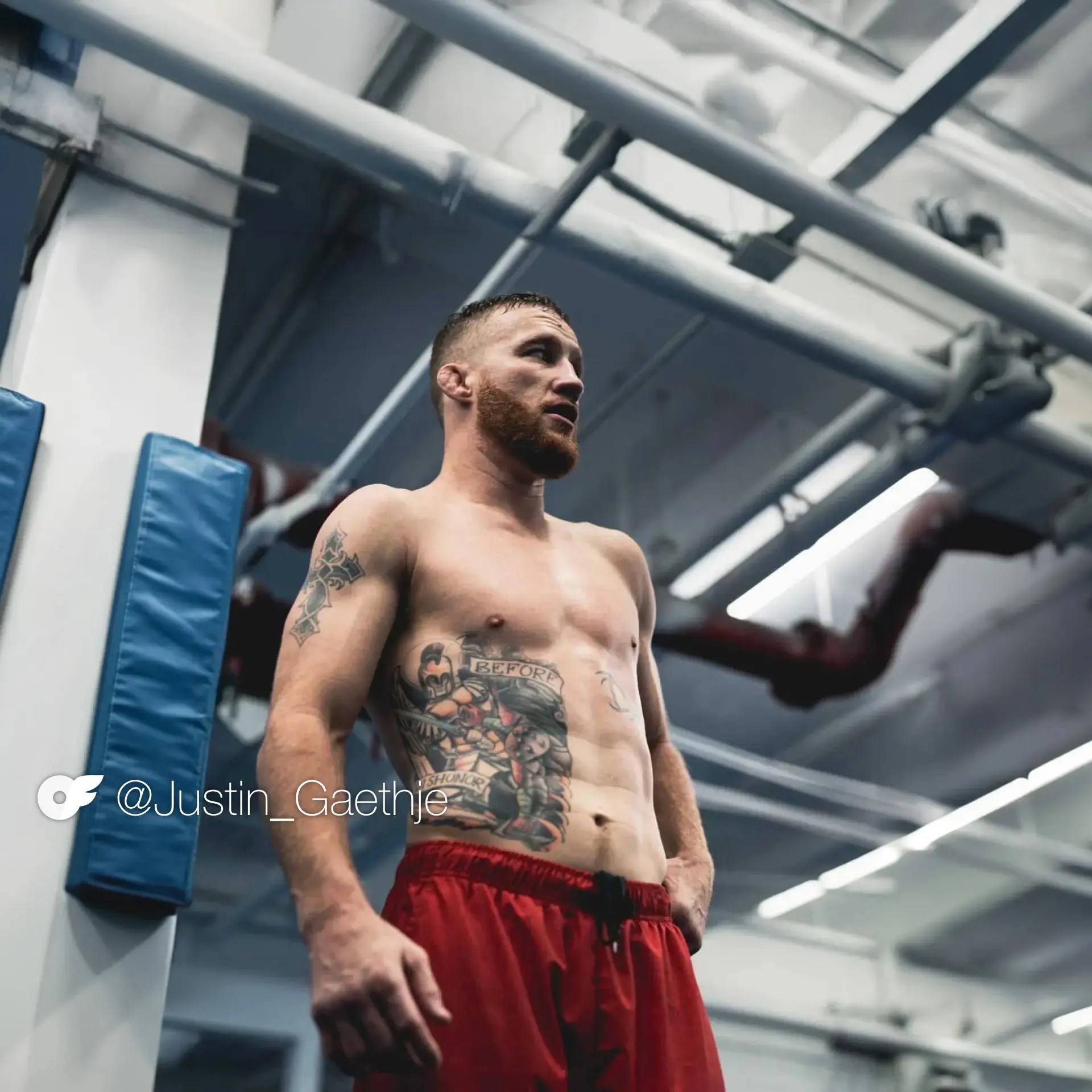 OnlyFans Fighters Head to UFC 300 - OnlyFans Blog