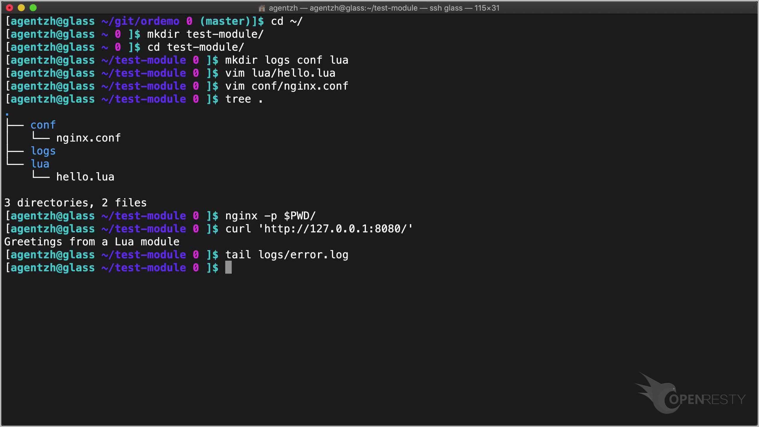 Write Your Own Lua Modules for OpenResty Applications OpenResty