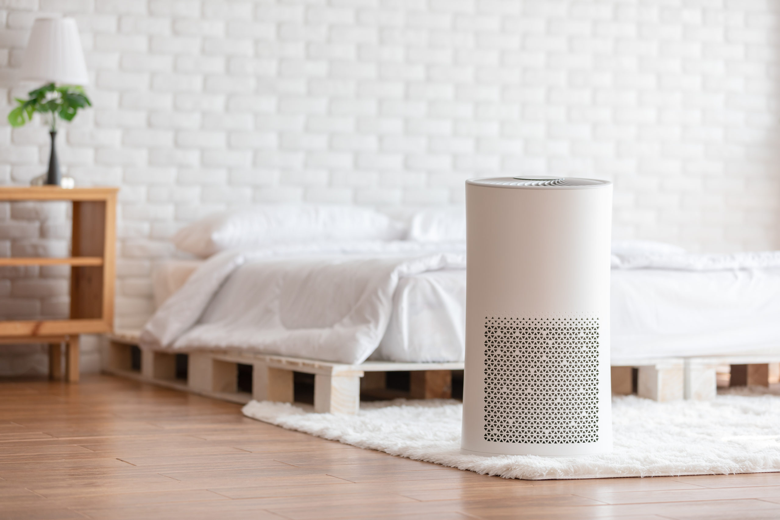 How Do Air Purifiers Work, And How Do They Improve Your Health