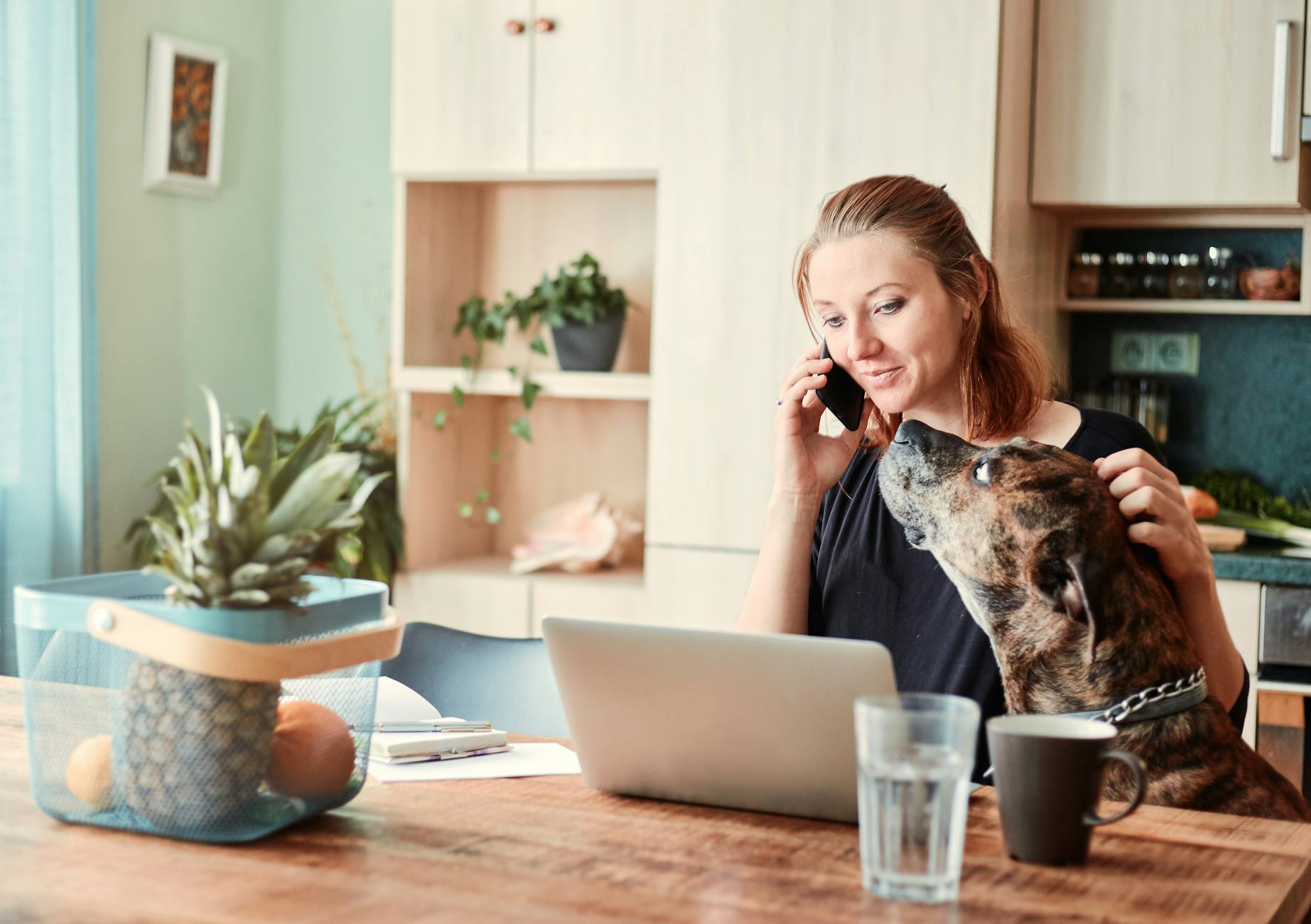 Steps to a Home Appraiser Osum