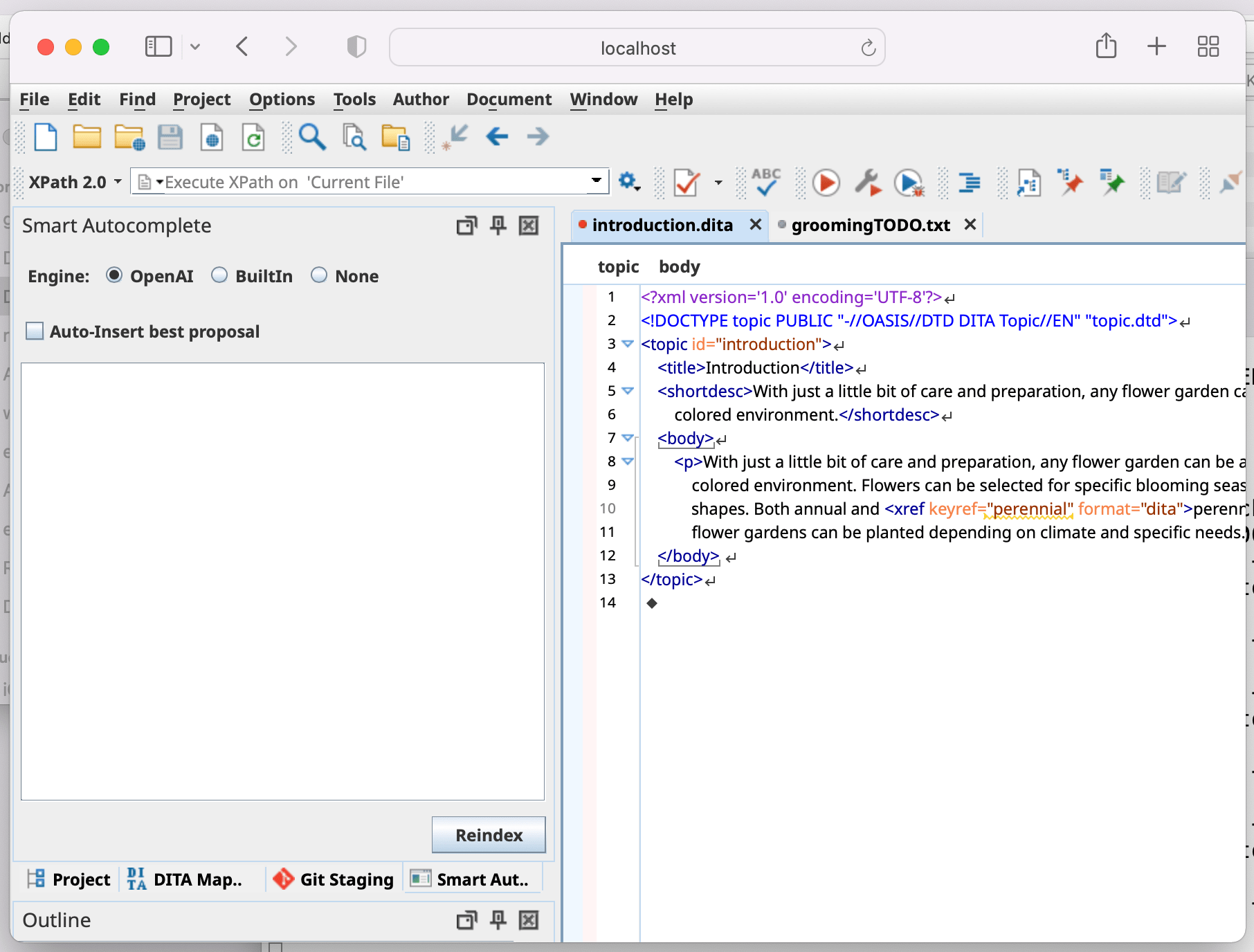 Using Oxygen XML Editor in a  Browser (Experimental)