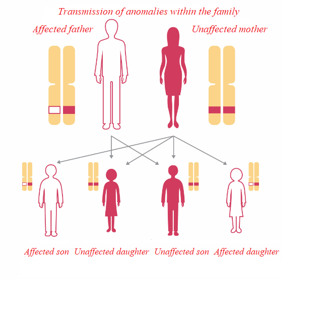 Cancer Heredity and factors Ozalys