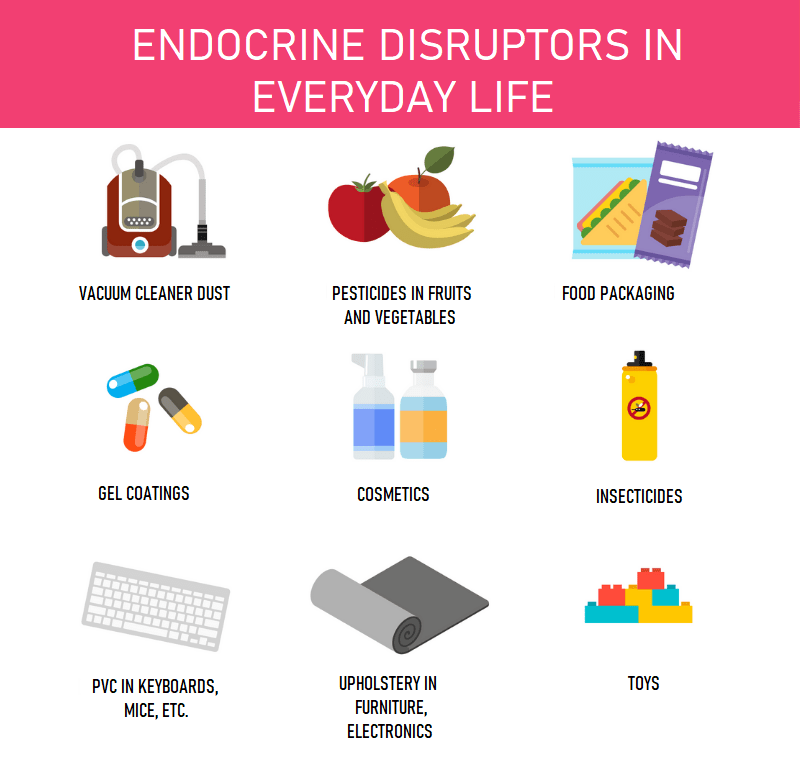 Let's talk about endocrine disruptors! Ozalys
