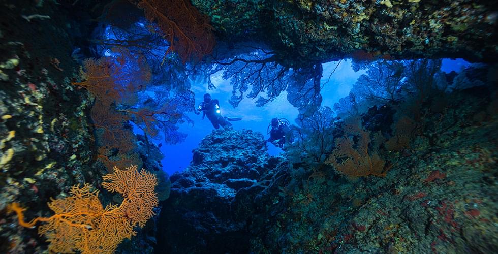 Cave & Cavern Diving The 10 Best Dive Sites in the World
