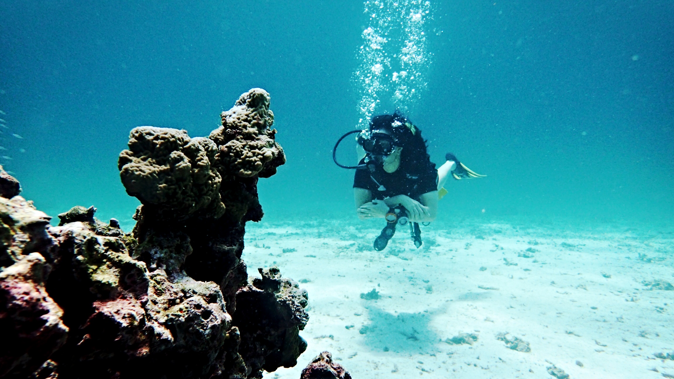 Confessions of a Shy Scuba Diver in India
