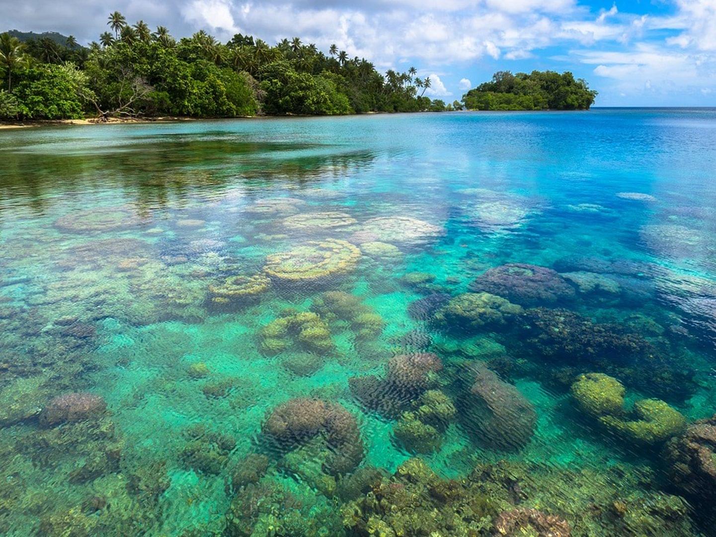 12 Resorts with the Best House Reefs for Scuba Diving