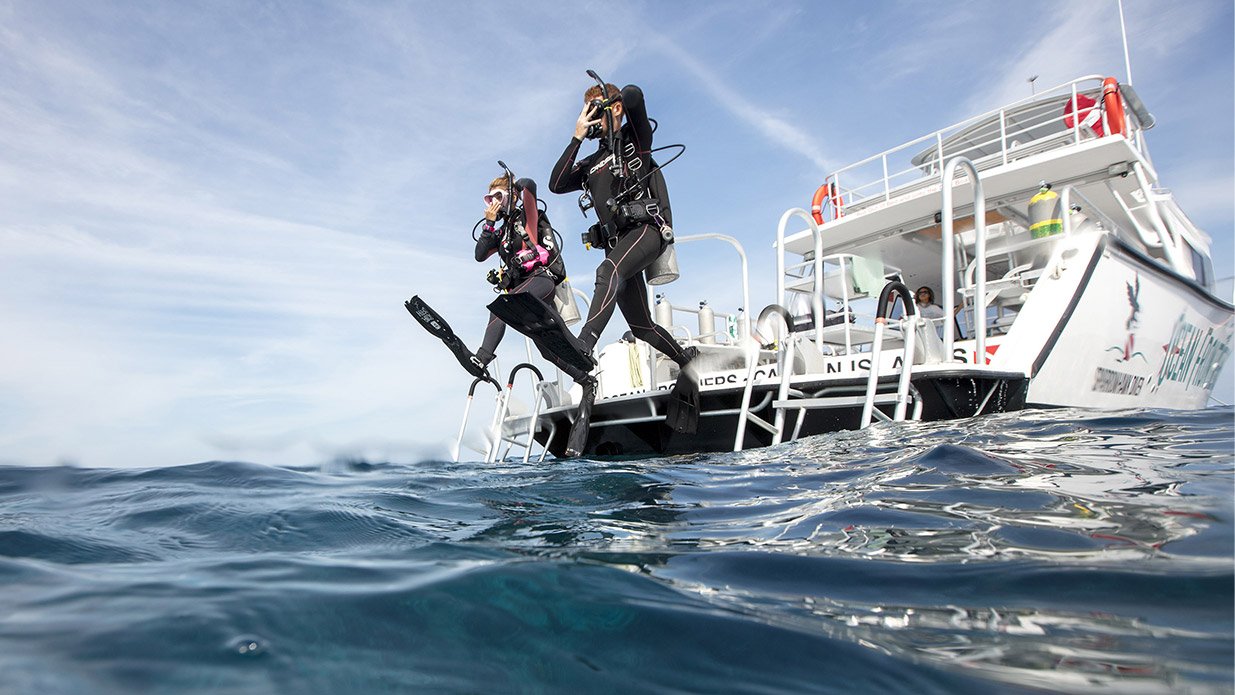 Junior Open Water Diver vs. Open Water Diver Scuba Certification
