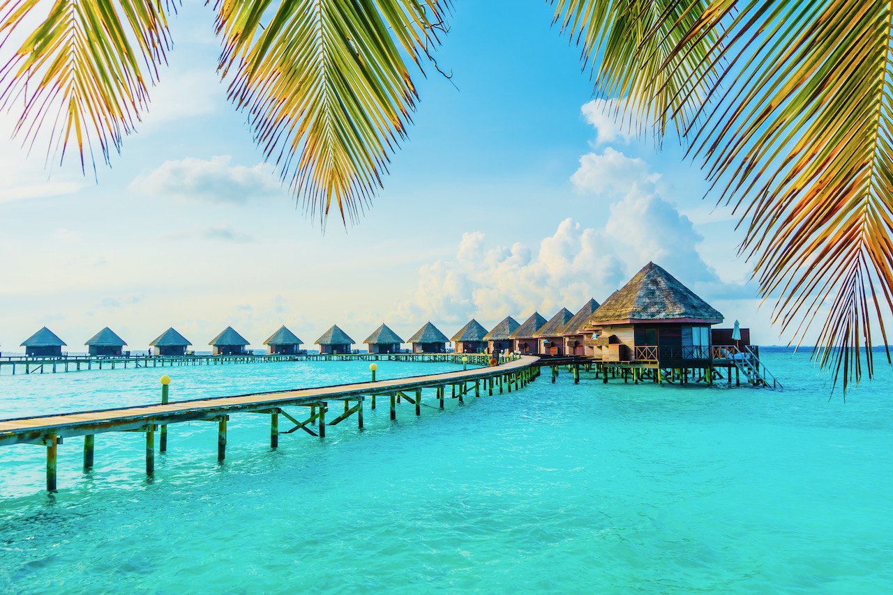 The 8 Finest Scuba Diving Resorts within the Maldives Sebn