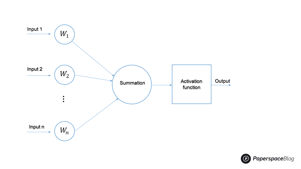 Feedforward vs feedback neural networks
