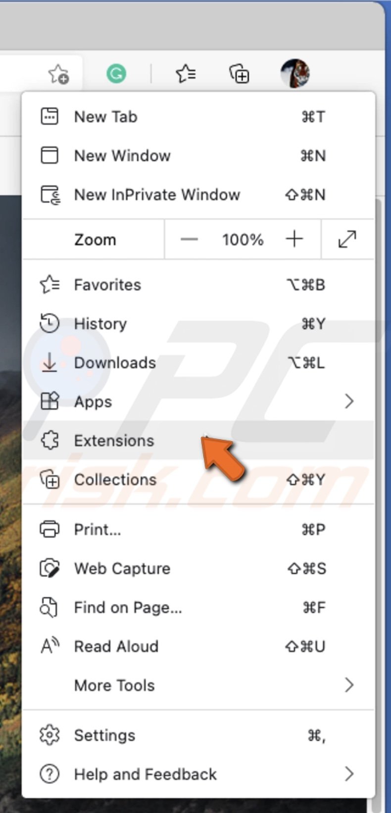 How to Remove Extensions in All Major Browsers on Mac?