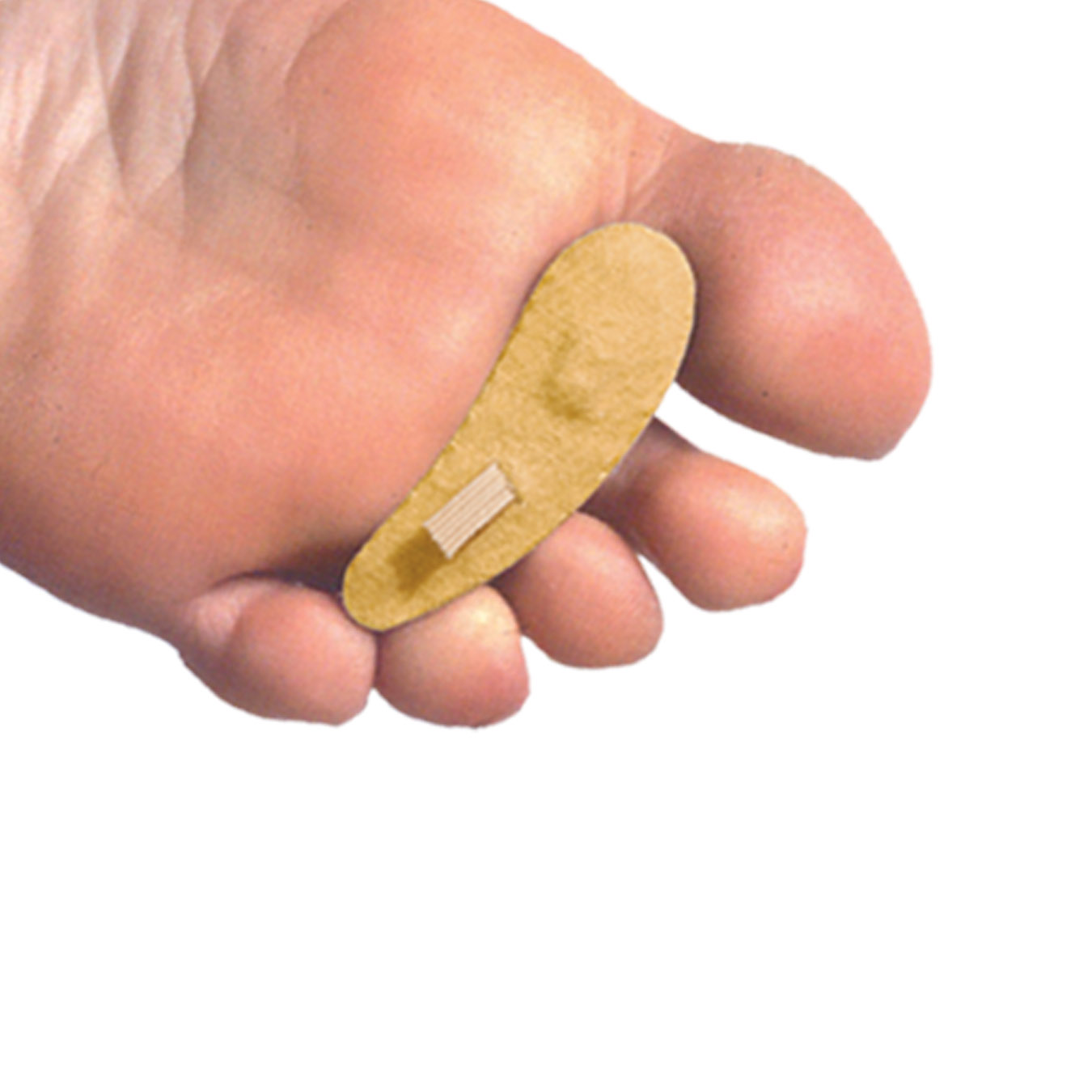 What You Need to Know About Hammer & Claw Toes Expert Guidance