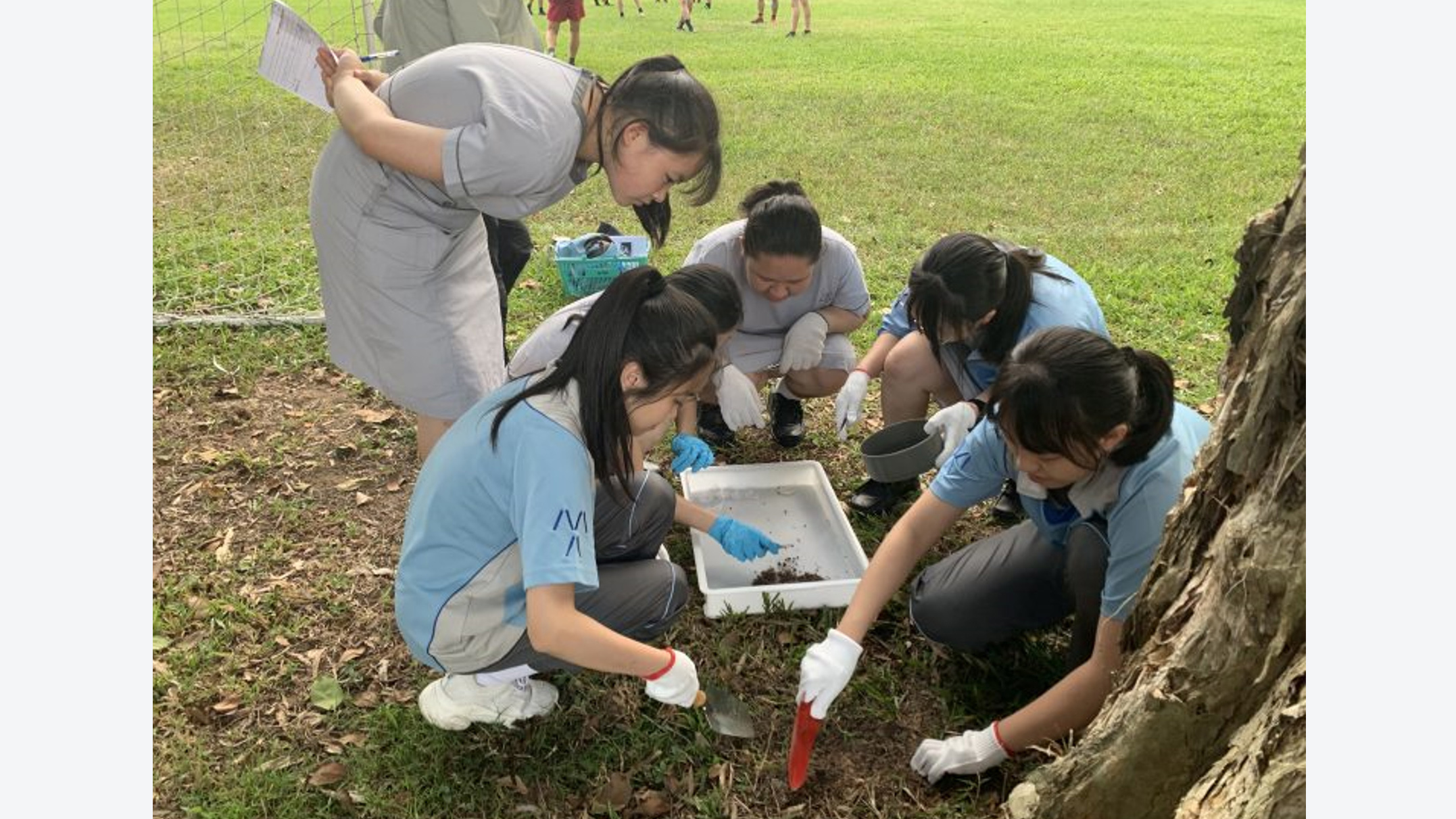 Highschoolers join scholars to lift the lid on Hong Kong’s soil biodiversity