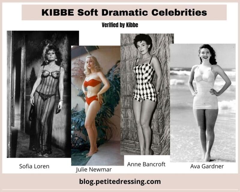 Kibbe Soft Dramatic Body Type the Complete Guide