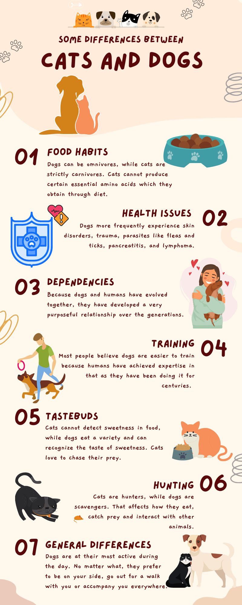 Top 7 Major Differences Between Dogs and Cats Petofy Everything Pets