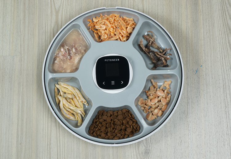 Why should we feed cats wet food? Petoneer’s blog