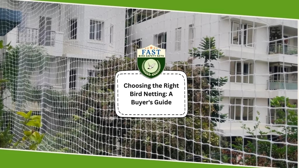 Choosing the Right Bird Netting A Buyer's Guide Fast Safety Nets