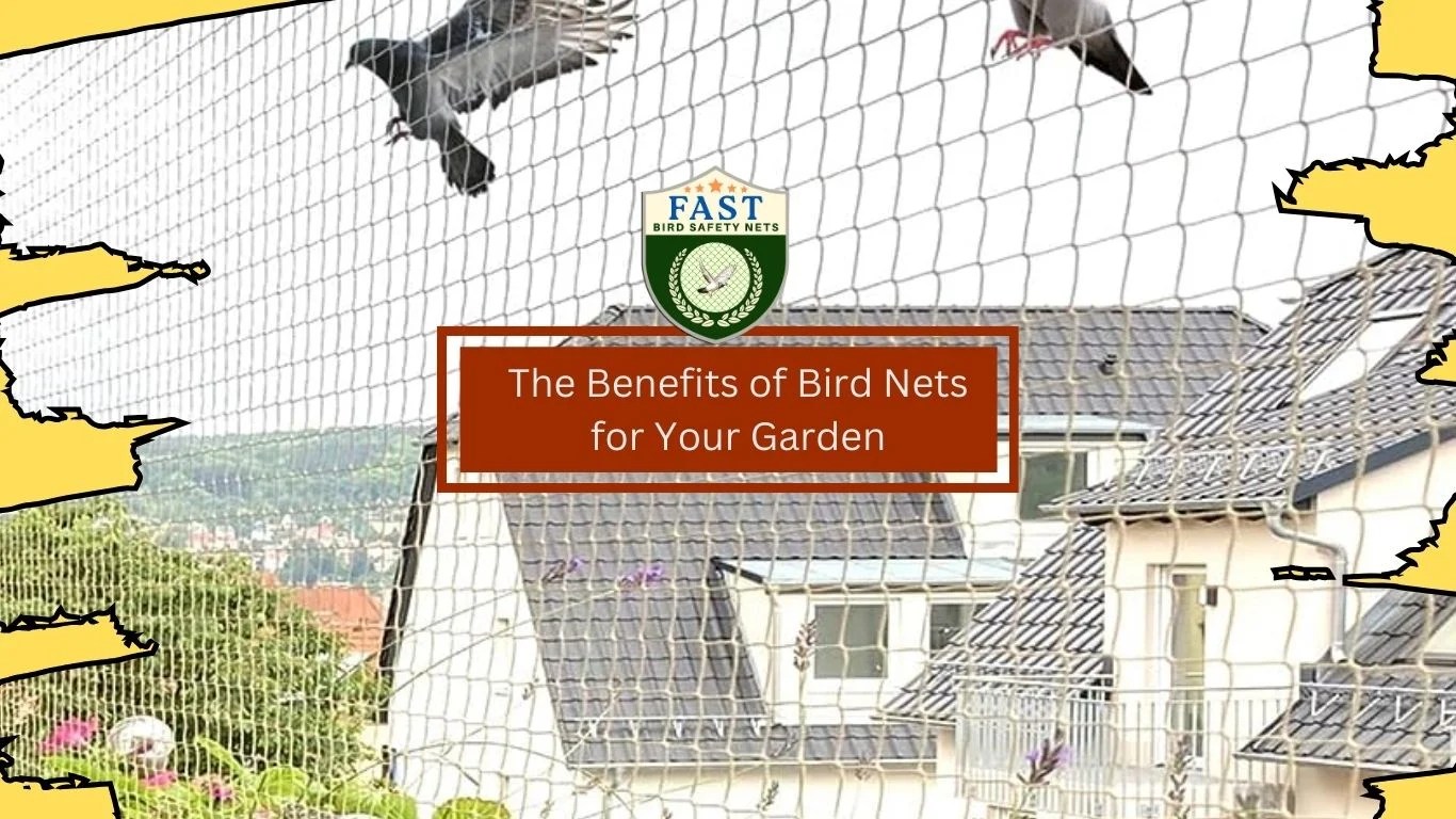The Benefits of Bird Netting for Your Garden Fast Safety Nets