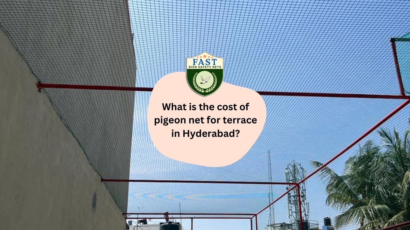 What is the cost of pigeon net for terrace in Hyderabad? Fast Safety