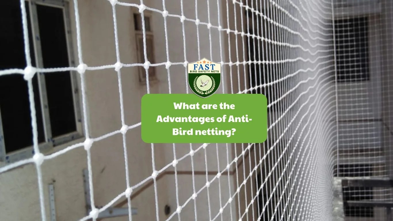 What are the Advantages of AntiBird netting? Fast Safety Nets