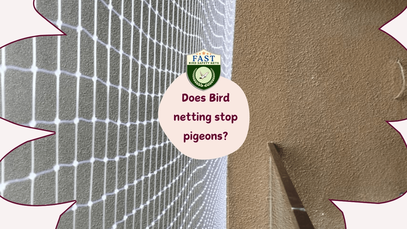 Does Bird Netting Stop Pigeons? Fast Safety Nets Hyderabad 9363632161