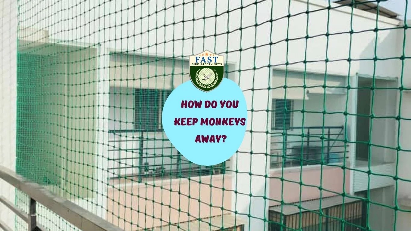 How do you keep monkeys away? Fast Safety Nets Hyderabad 9363632161