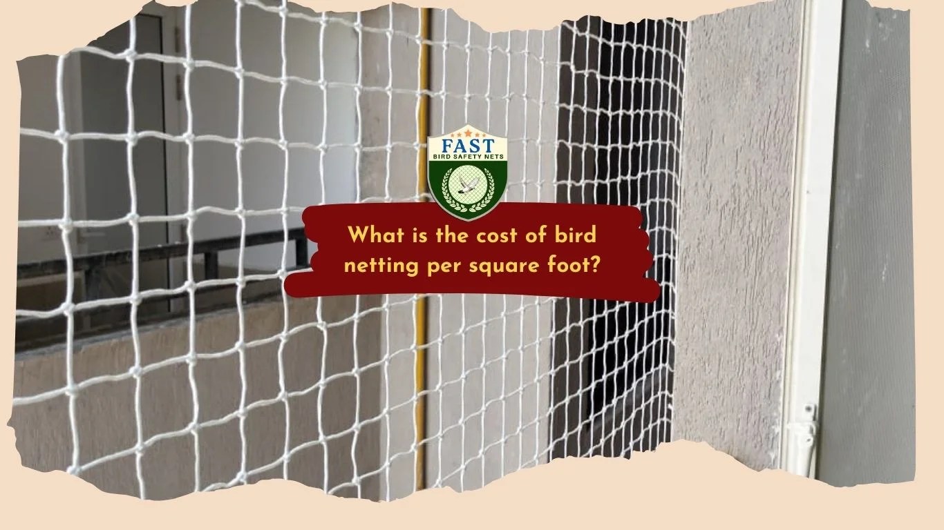 What is the cost of bird netting per square foot? Fast Safety Nets