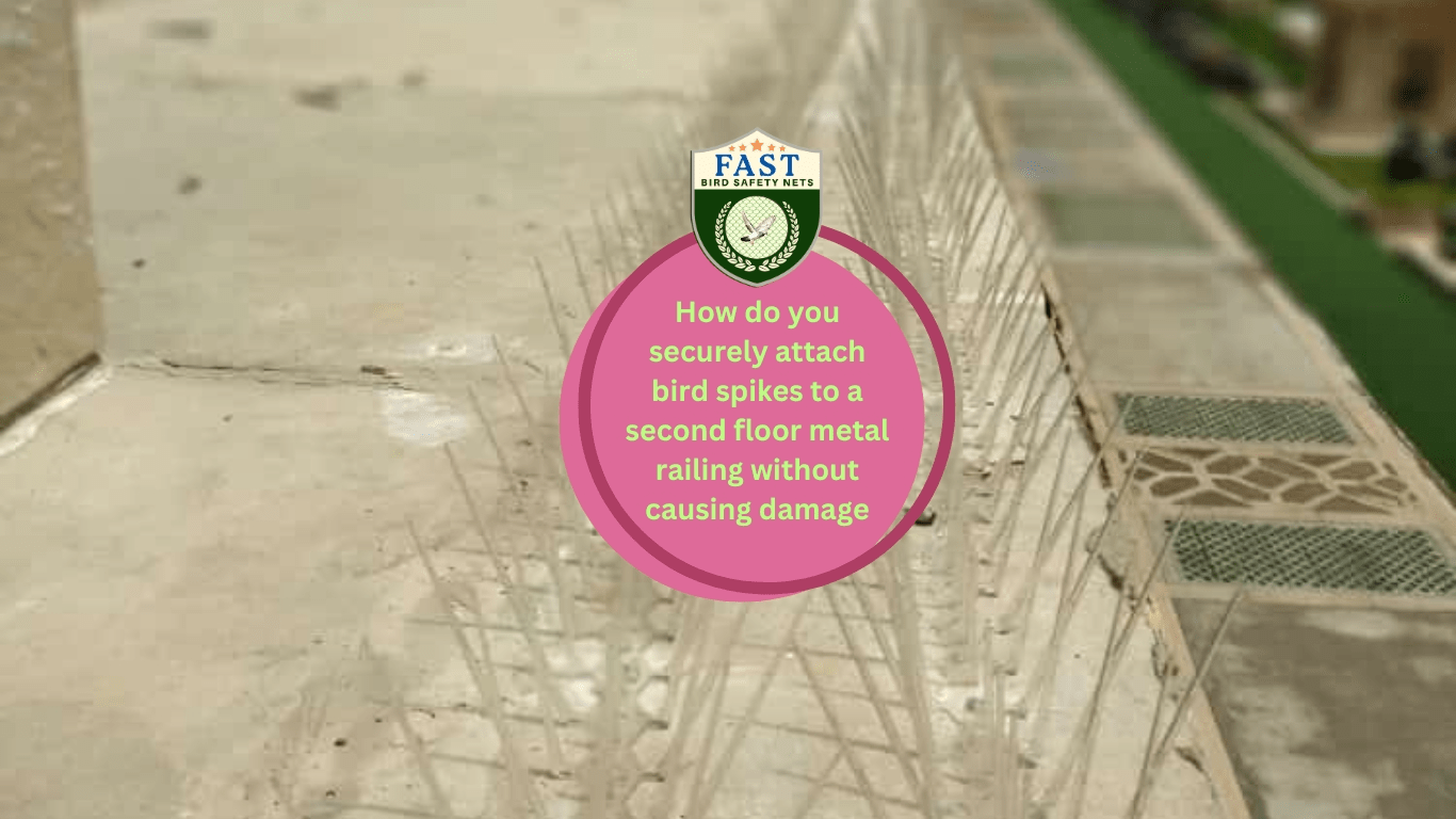 How do you securely attach Bird Spikes?