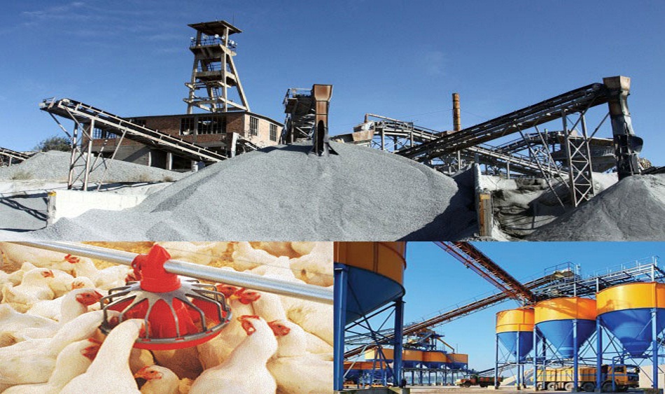 Material Handling Equipment and Projects Industrial Conveyors