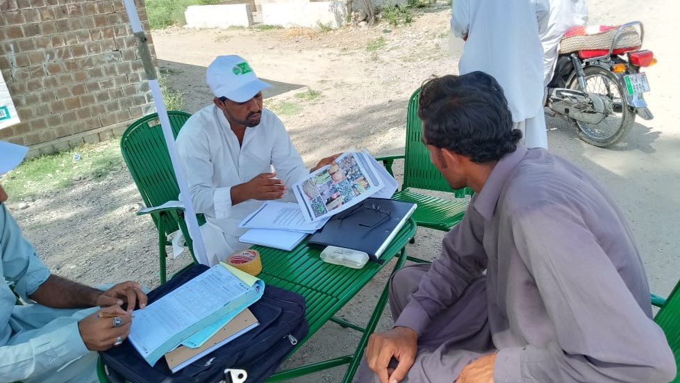 Empowering organic cotton growers through plant clinics in Balochistan