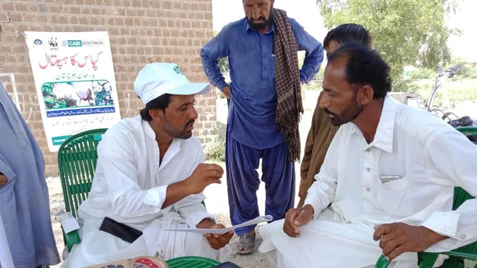 Empowering organic cotton growers through plant clinics in Balochistan