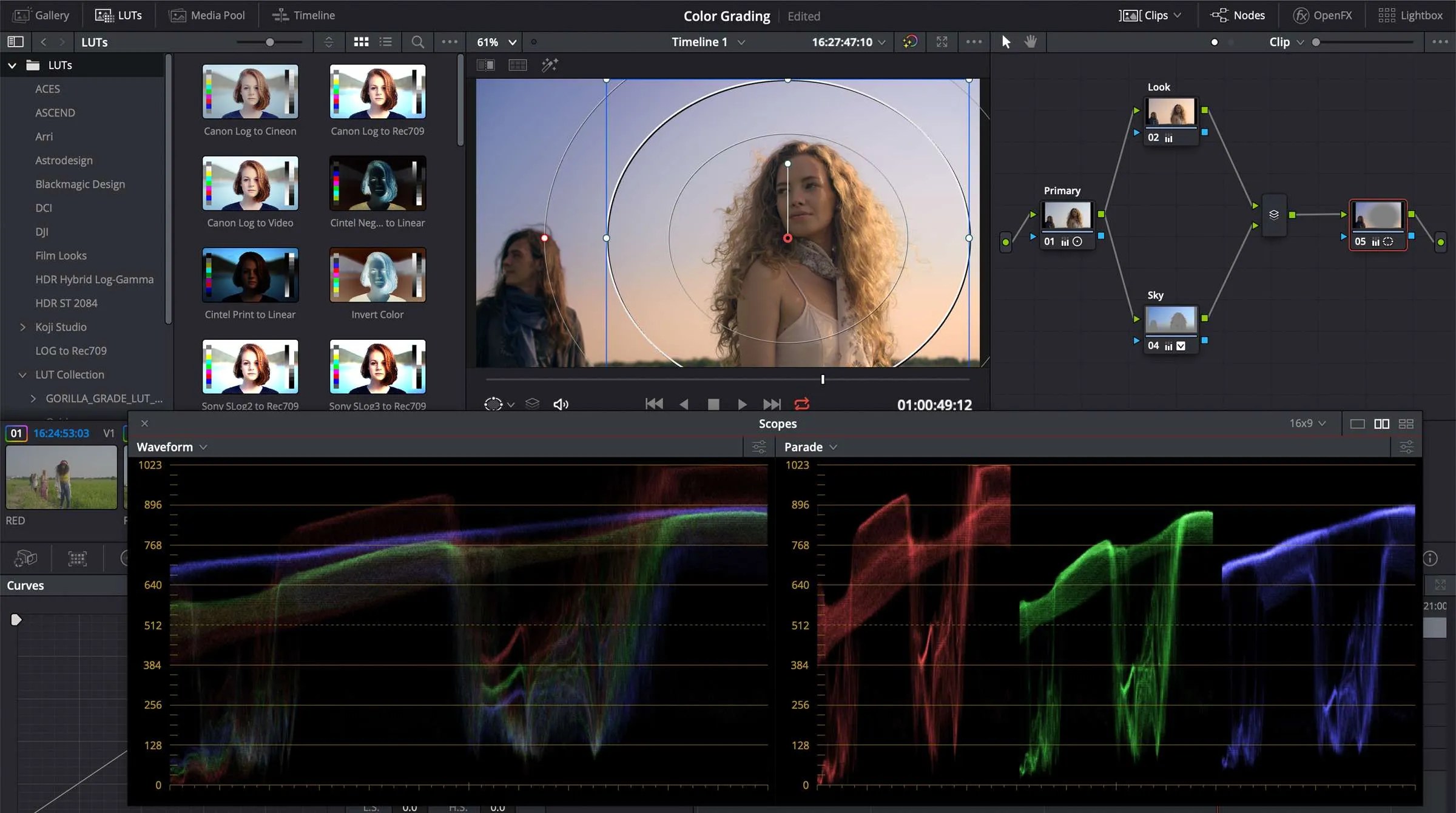 Basic Color Correction and Grading in DaVinci Resolve Pond5
