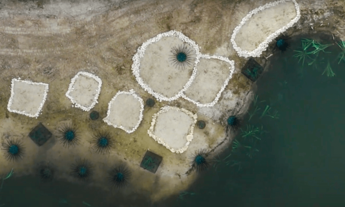 Enhancing Habitat in Spawning Areas