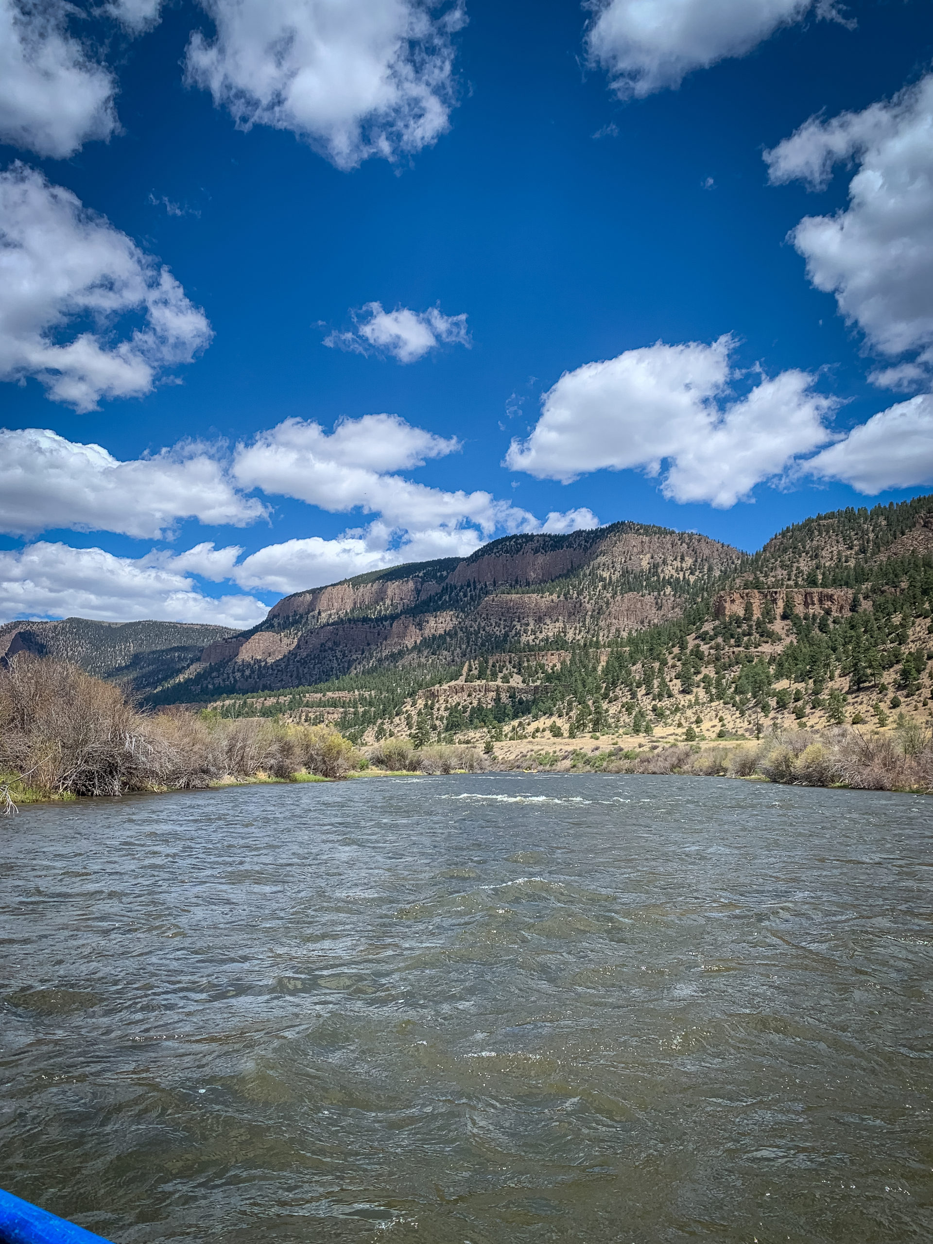 Tailwater Defined & Why You Need to Fish It The Wade