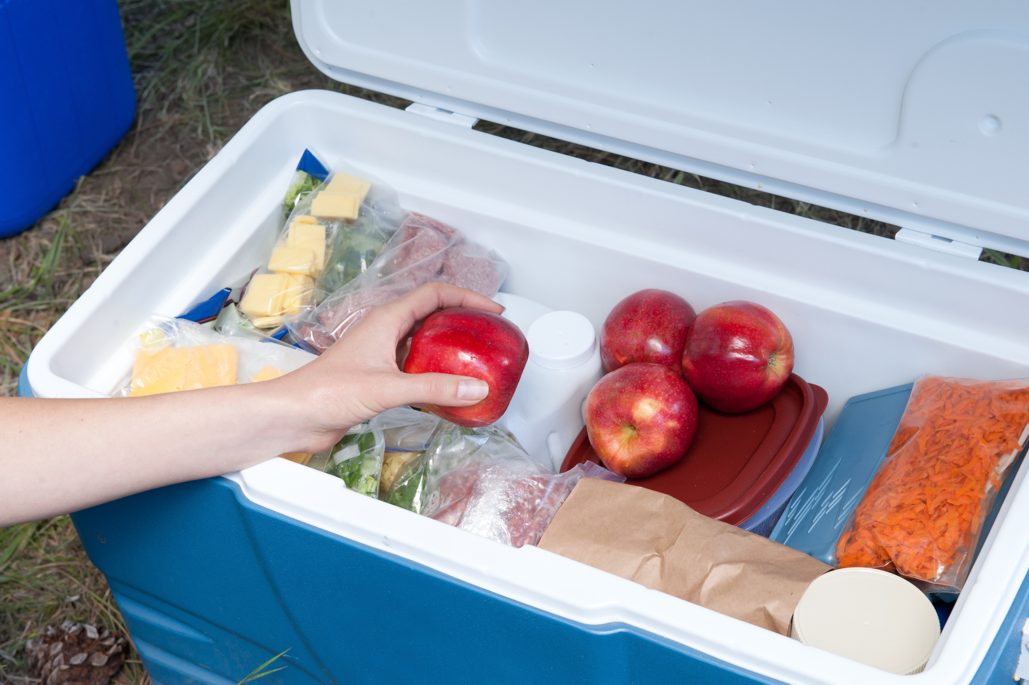 How To Make A Homemade Cooler Box Homemade Ftempo