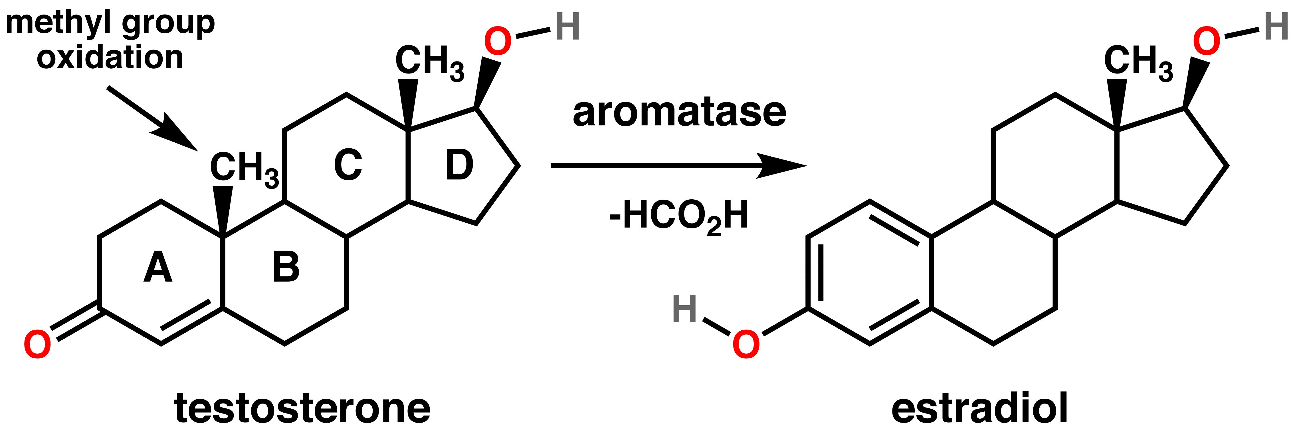 19NorDHEA / 19 Nor Andro More Questions than Answers
