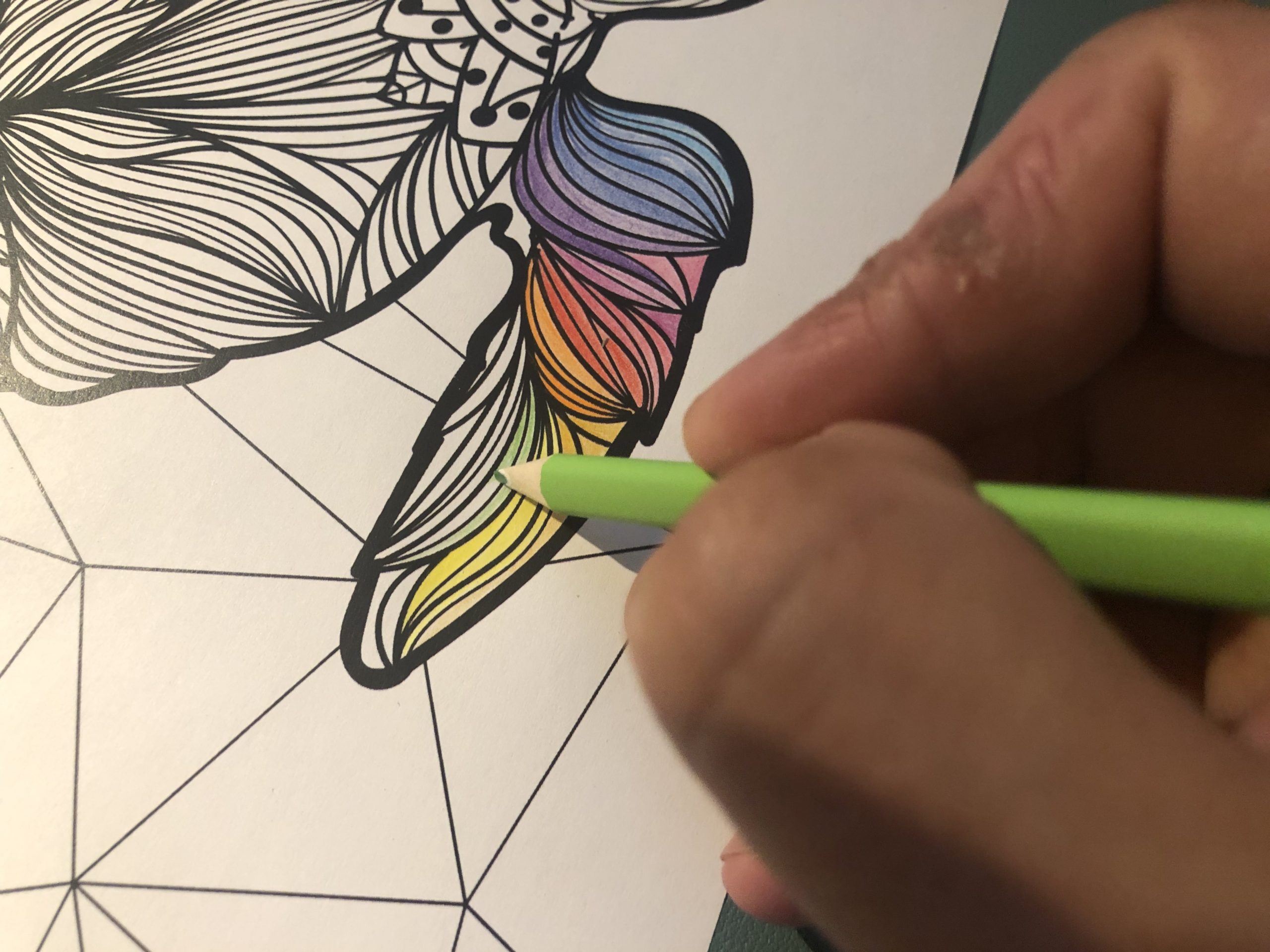 How to Color with Colored Pencils Practice, Tips and Tricks Blog