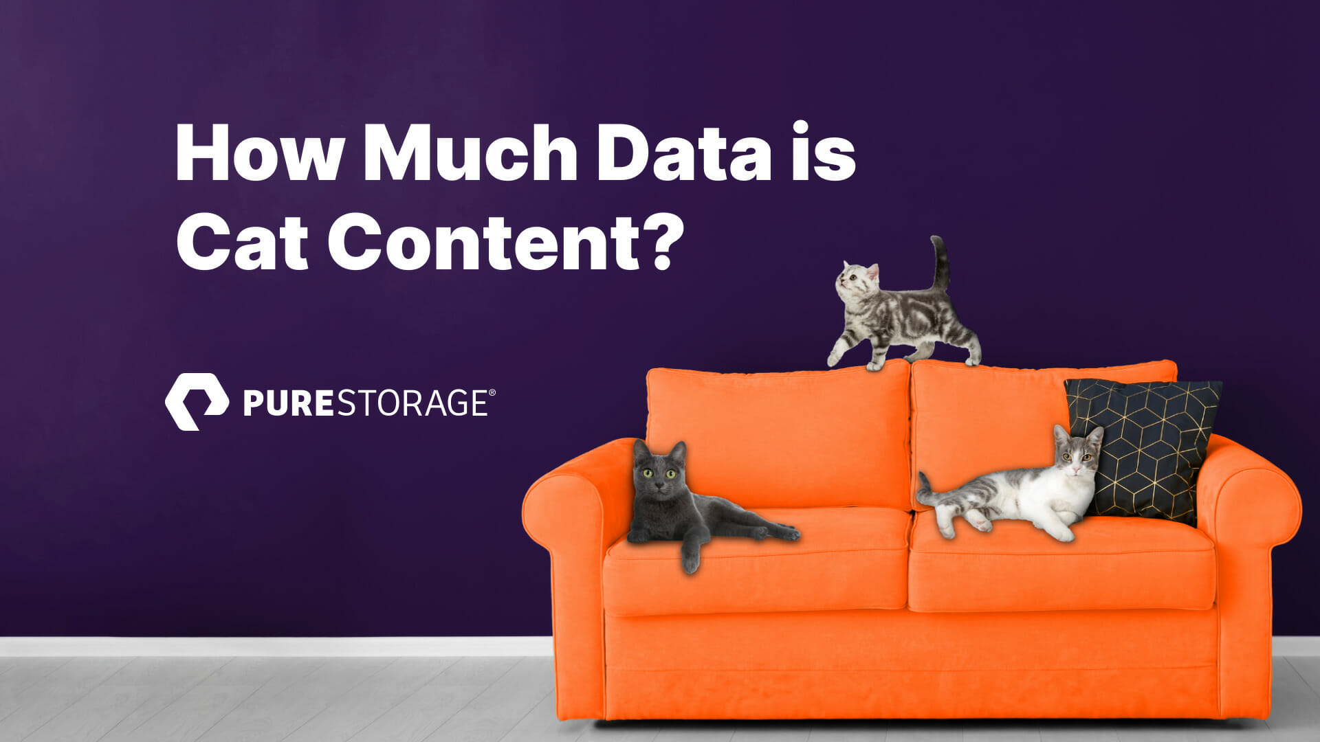How Much of the World’s Data Is Cat Content? Pure Storage Blog
