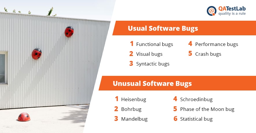 Software Bugs & Ways to Prevent Them QATestLab Blog