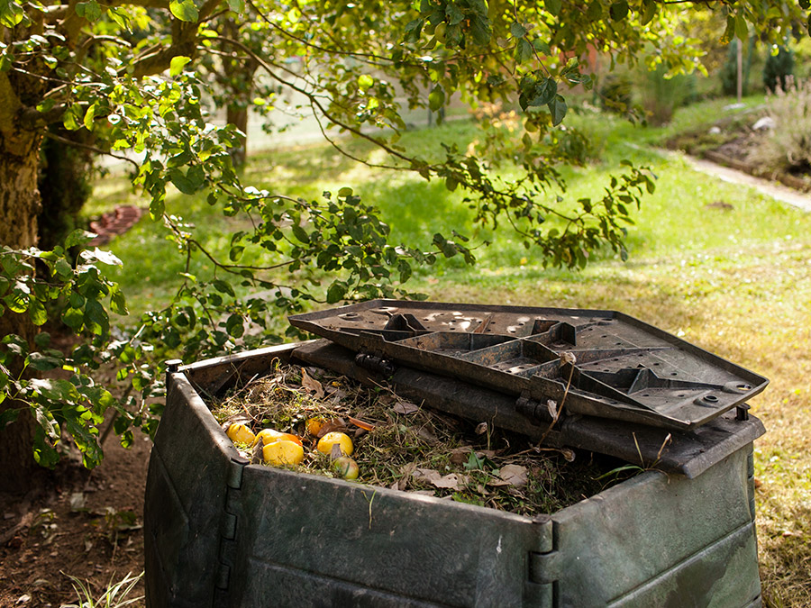 ¿Cómo hacer una composta en tu hogar? Blog RAJU