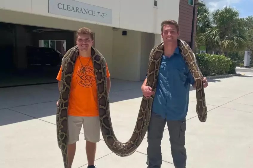 One of the biggest snakes ever caught in Florida!