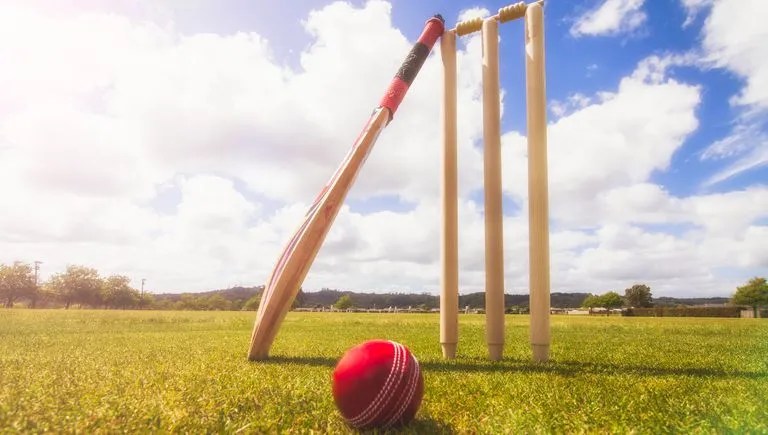 Exploring the World of Cricket - RC Blog