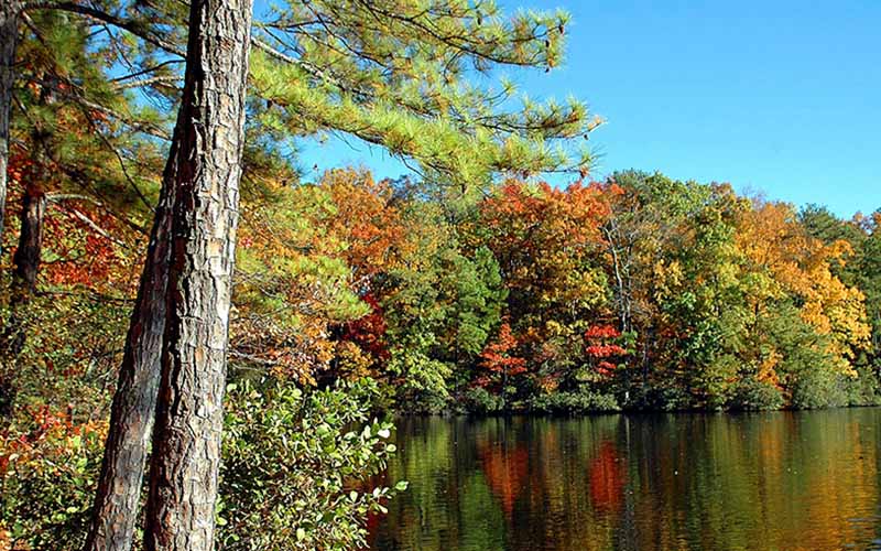 Plan your perfect Trip A MonthbyMonth Travel Guide