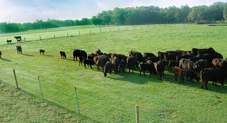 How Much Fence Do I Need? Fence Length Calculator