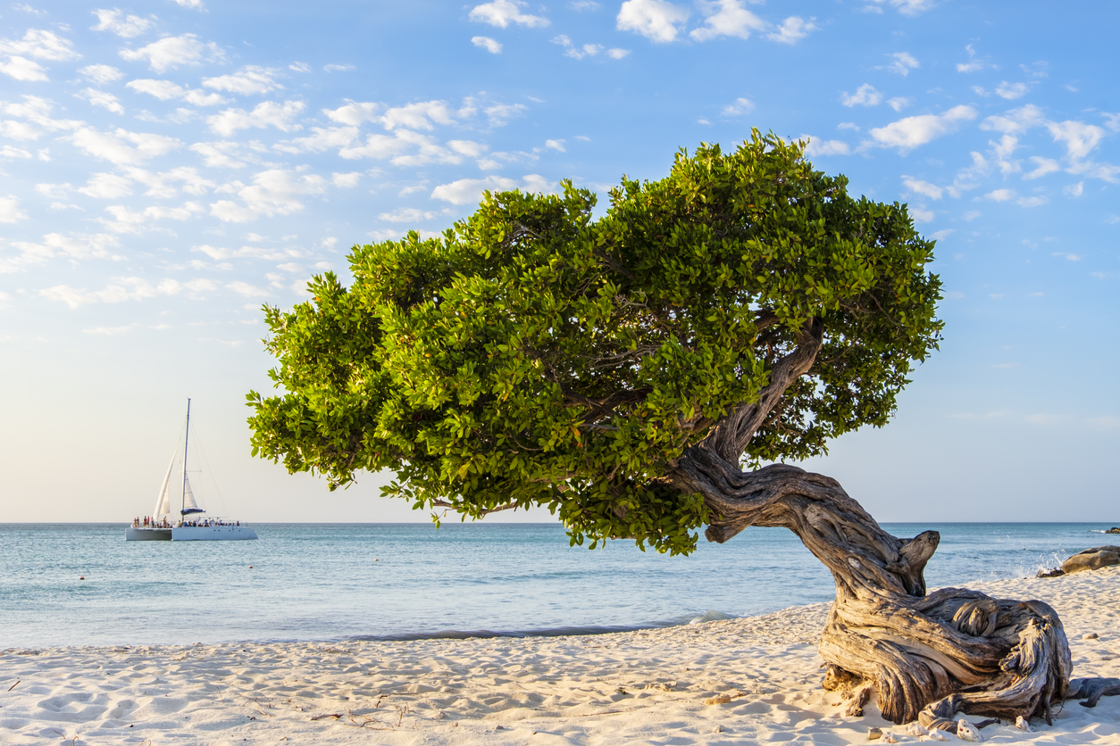 Travelling During COVID19 to Popular Vacation Destinations