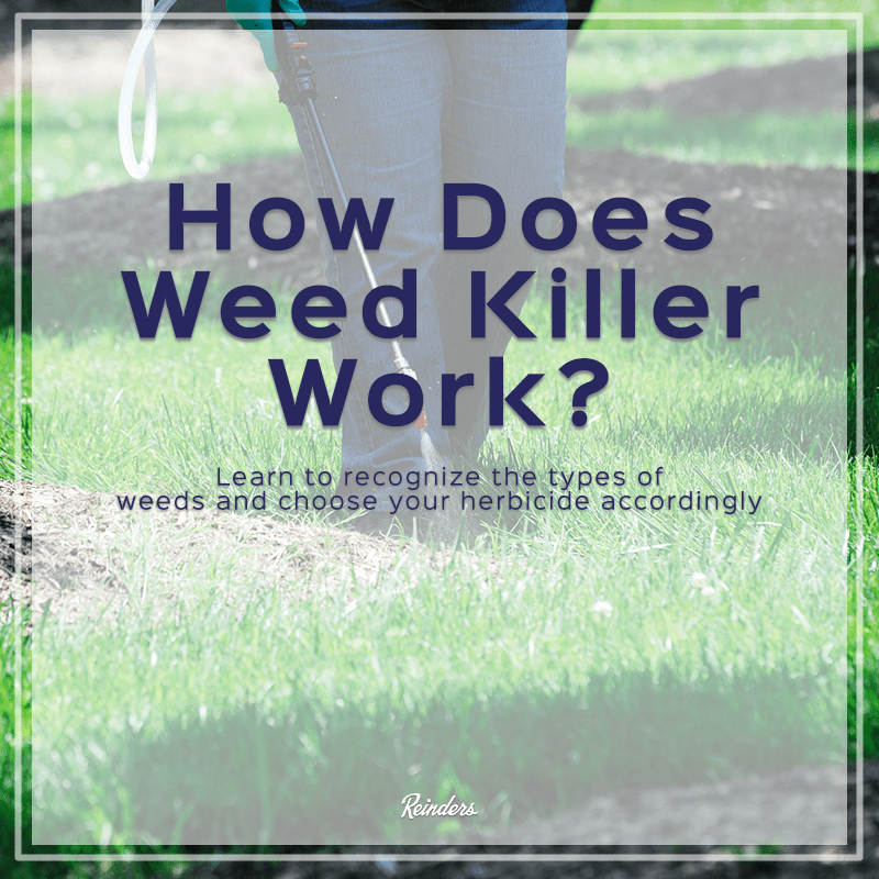 May, 2018 Reinders Blog