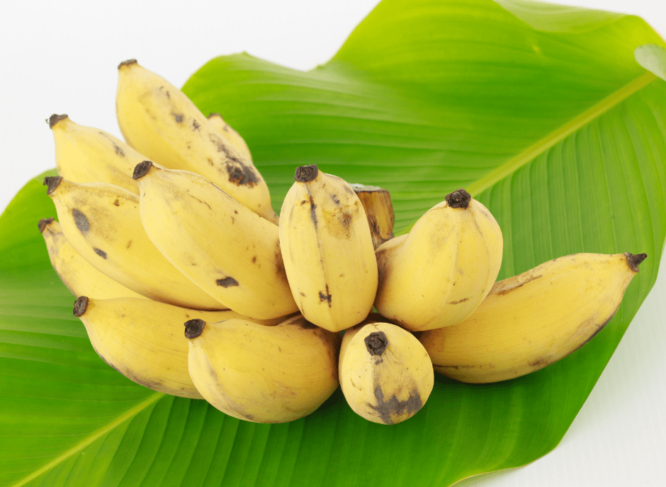 The Nutritional Benefits of Bananas for CKD
