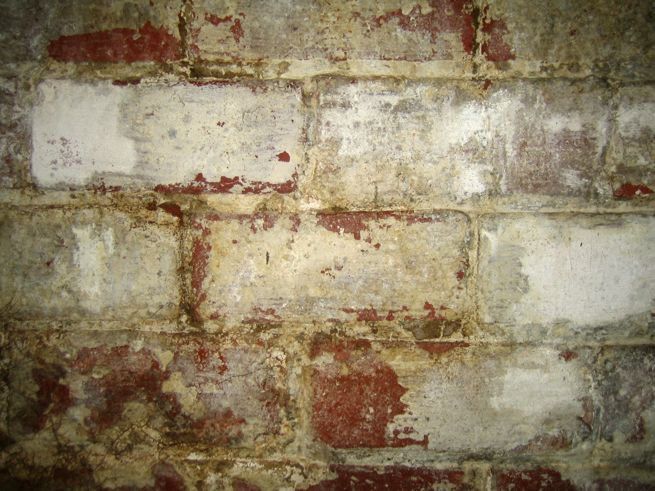 Is That White Stuff on Your Brick Walls Efflorescence?